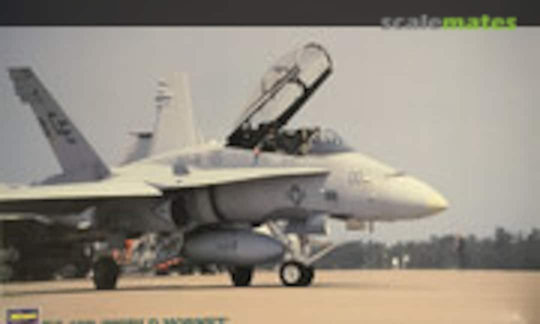 1:48 F/A-18D `World Hornet´ (Hasegawa 07073)