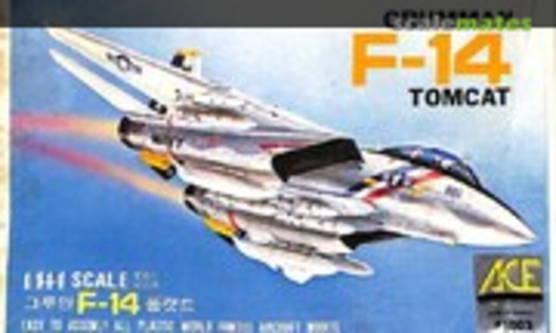 1:144 Grumman F-14 Tomcat (ACE Hobby Kit 1003)