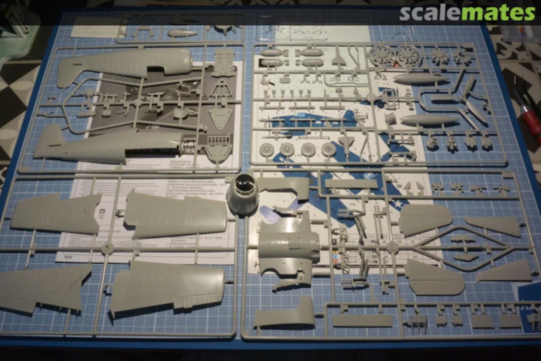 Contents F6F-5N Hellcat 80341 HobbyBoss