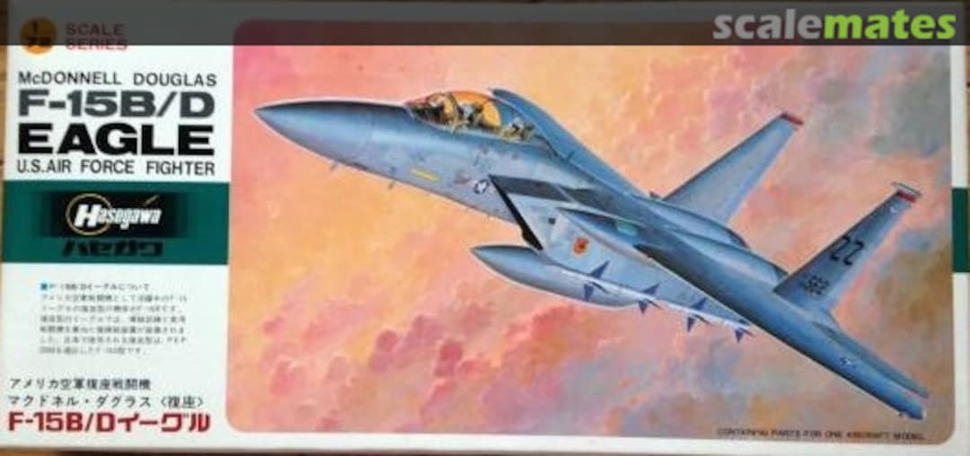 Boxart F-15B/D Eagle E19 Hasegawa