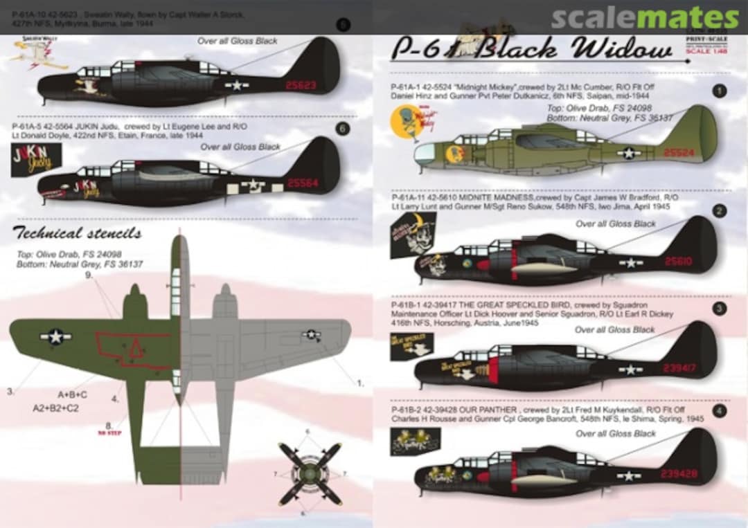 Boxart P-61 Black Widow 48-035 Print Scale