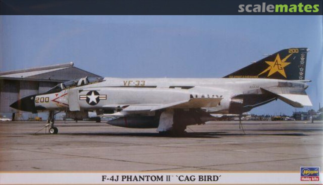 Boxart F-4J Phantom II 'CAG Bird' 00855 Hasegawa