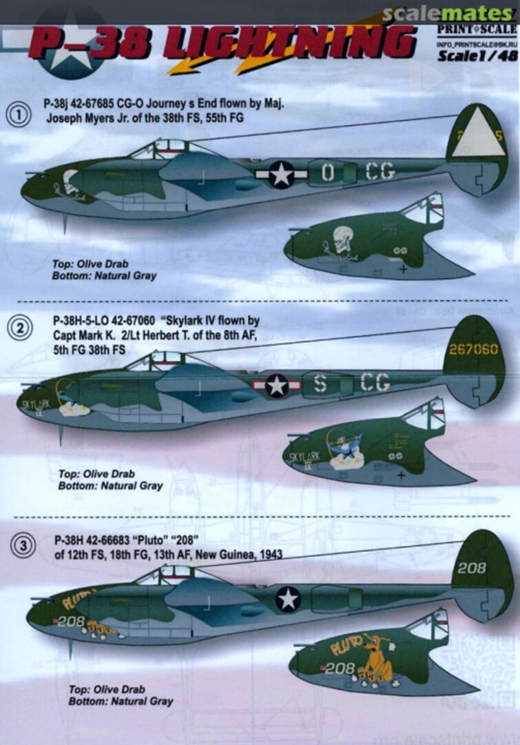 Boxart P-38 Lightning 48-037 Print Scale