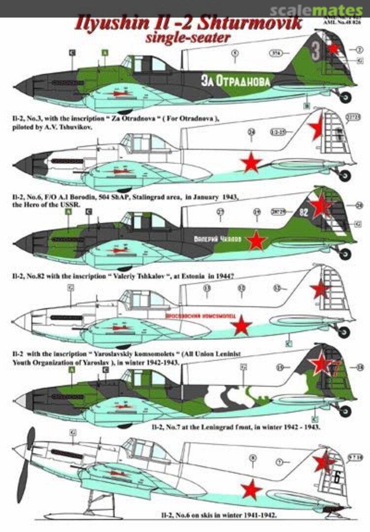 Boxart Ilyushin Il-2 Shturmovik Single Seater AMLD48026 AML