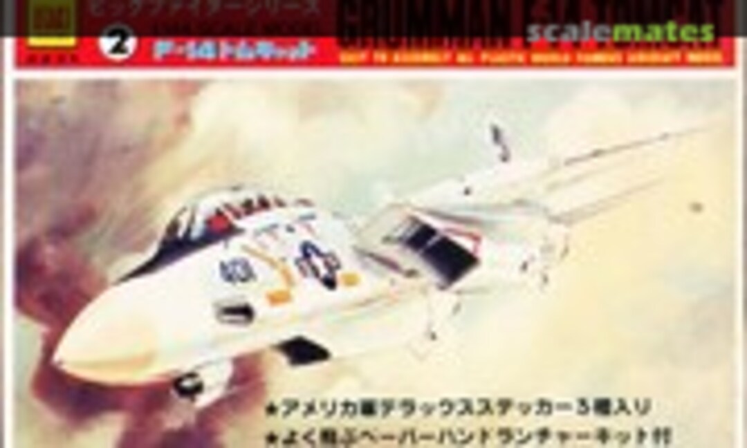 1:144 Grumman F-14A Tomcat (Otaki OT2-19-200)