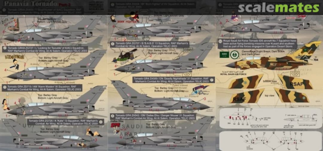 Boxart Panavia Tornado 48-041 Print Scale