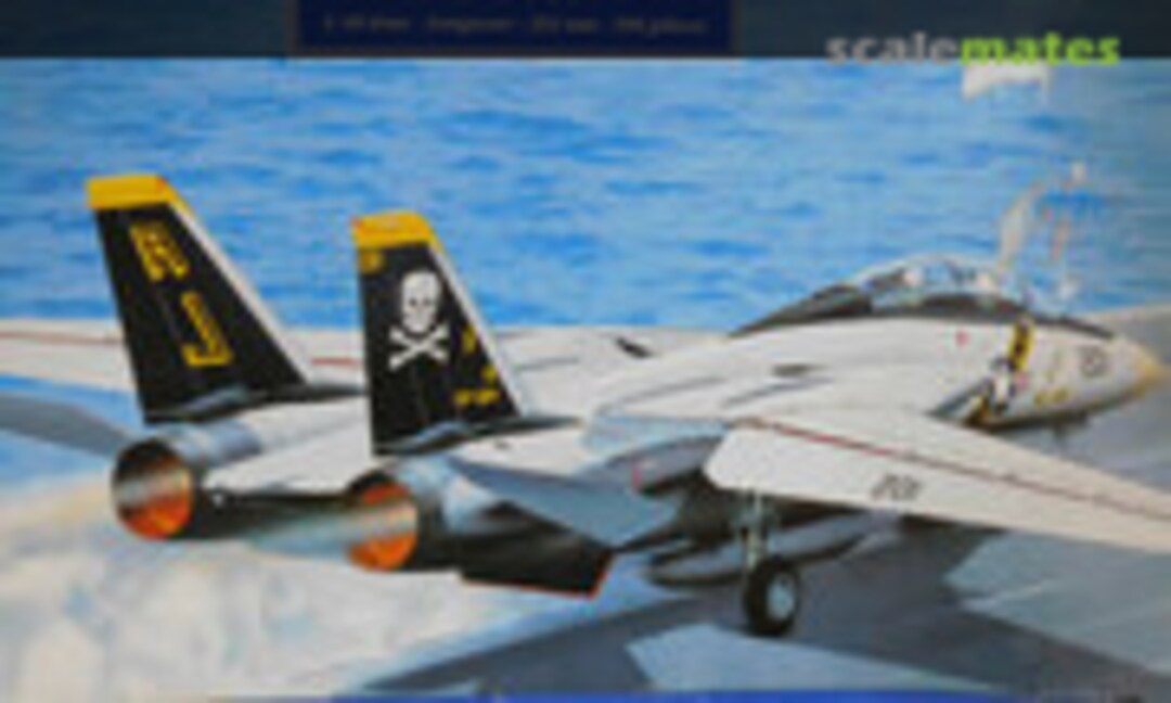 1:48 Tomcat F-14A (Heller 60427)