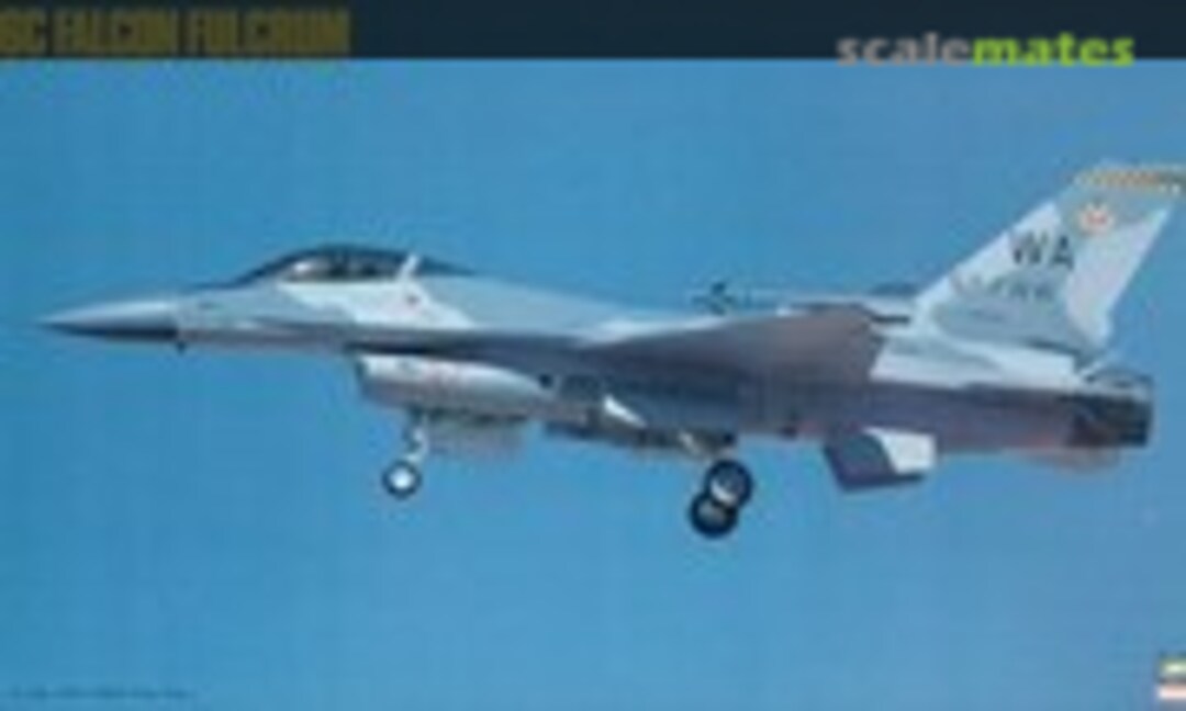 1:48 F-16C Falcon Fulcrum (Hasegawa 51532)