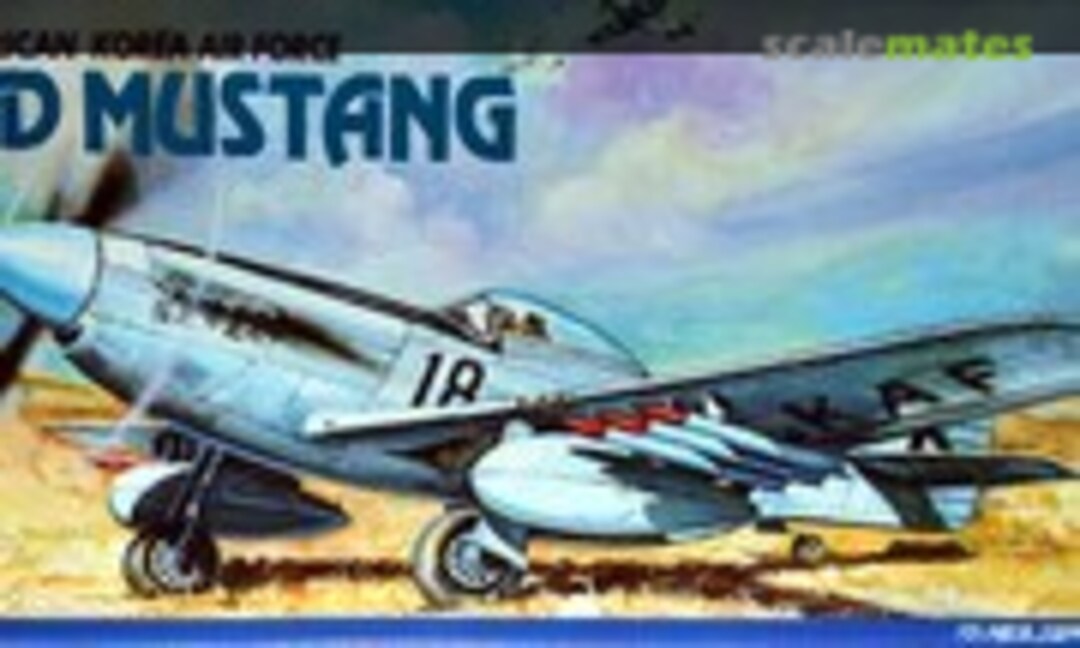 1:72 P-51D Mustang (Seminar 1500)