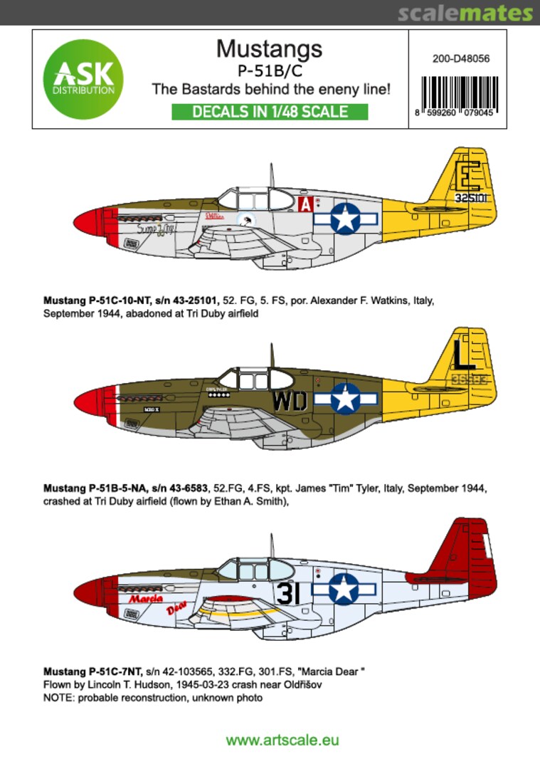 Boxart P-51B Mustang - The Bastards behind the enemy lines! 200-D48056 ASK