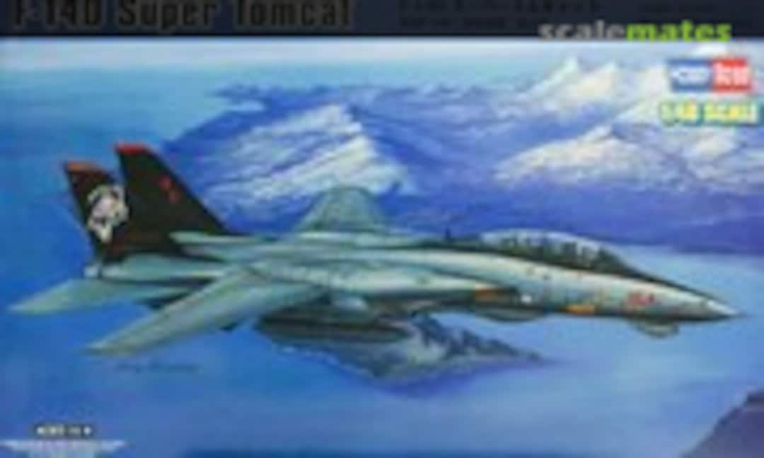 1:48 F-14D Super Tomcat (HobbyBoss 80368)