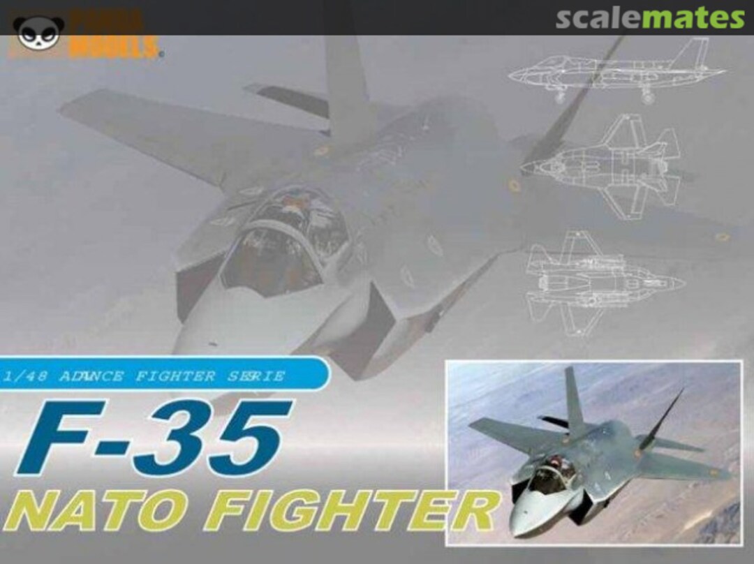 Boxart F-35 NATO Fighter 48003 Panda Models