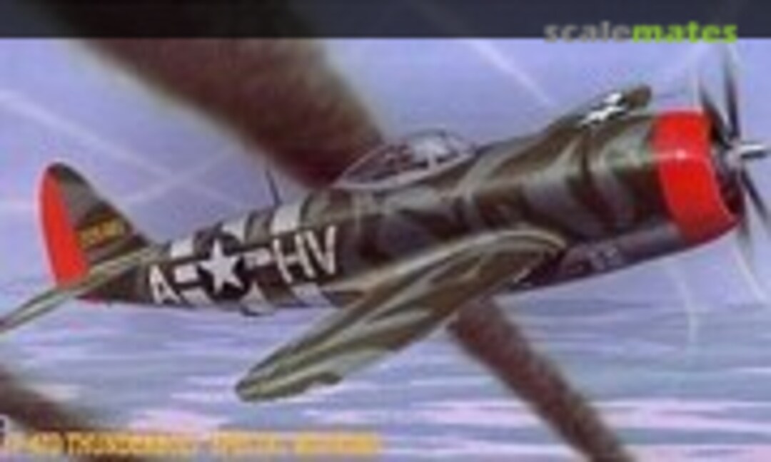 1:48 P-47D Thunderbolt 'Special Markings' (Hasegawa 09190)