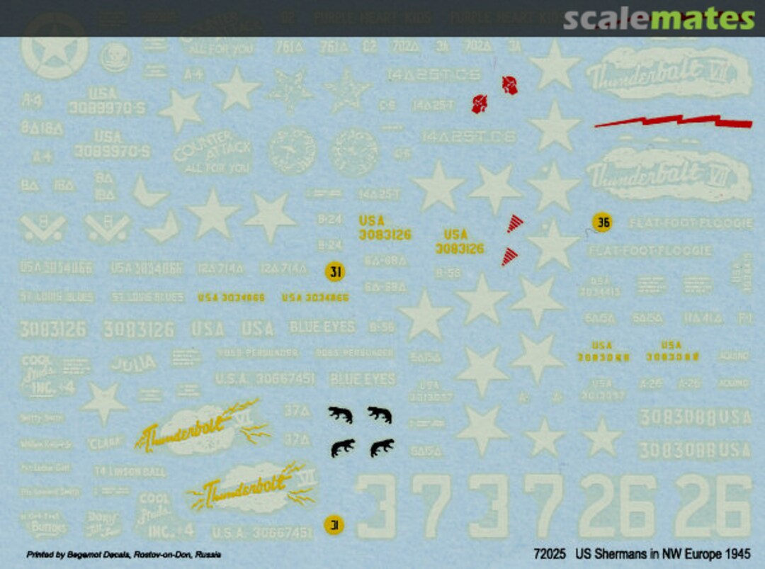 Boxart US Sherman tanks in NW Europe 1945 72025 Bison Decals