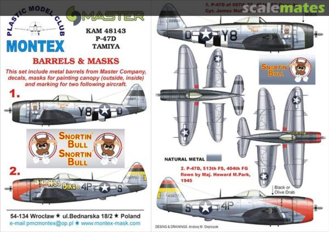 Boxart Republic P-47D Thunderbolt KAM48143 Montex