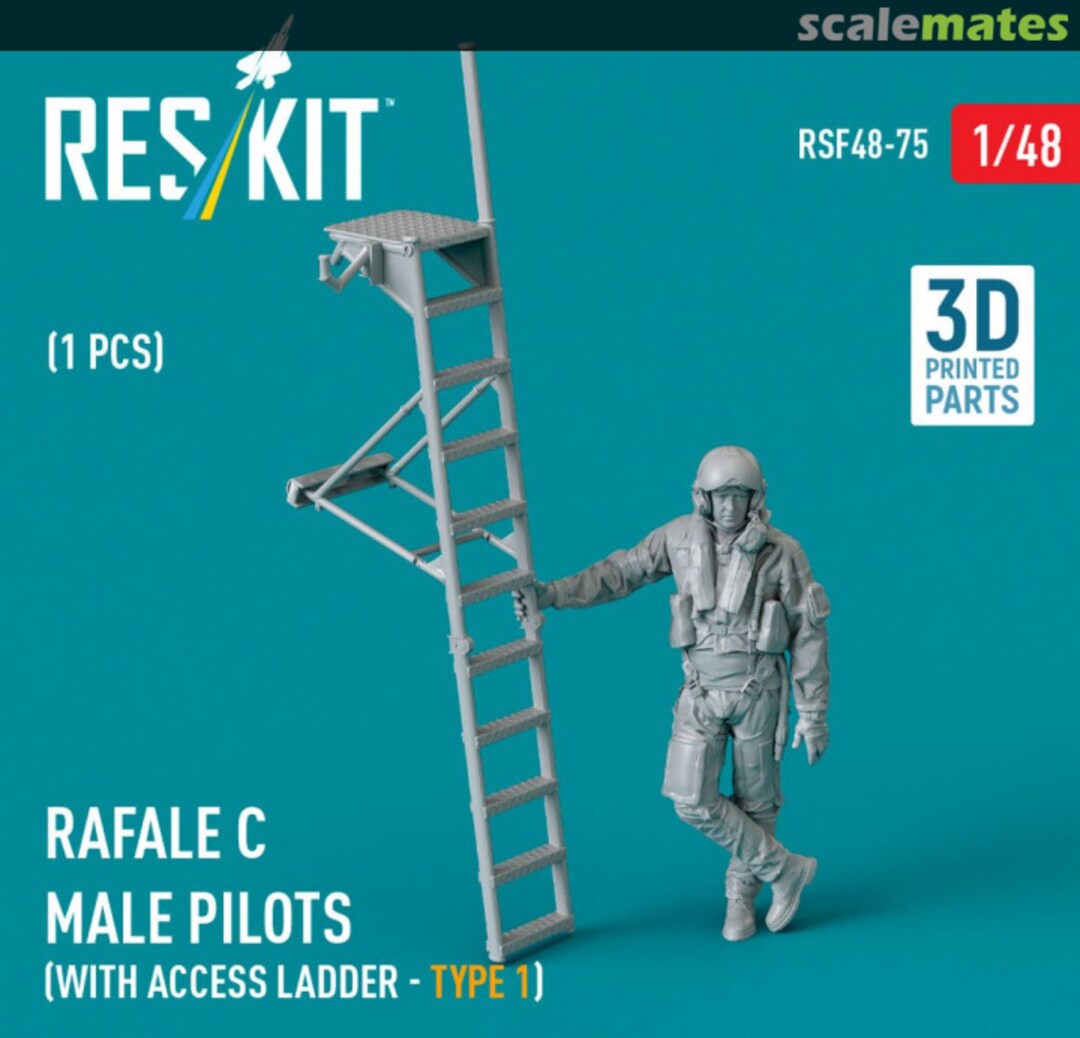 Boxart Rafale C male pilot (with access ladder - type 1) (1 pcs) RSF48-0075 ResKit