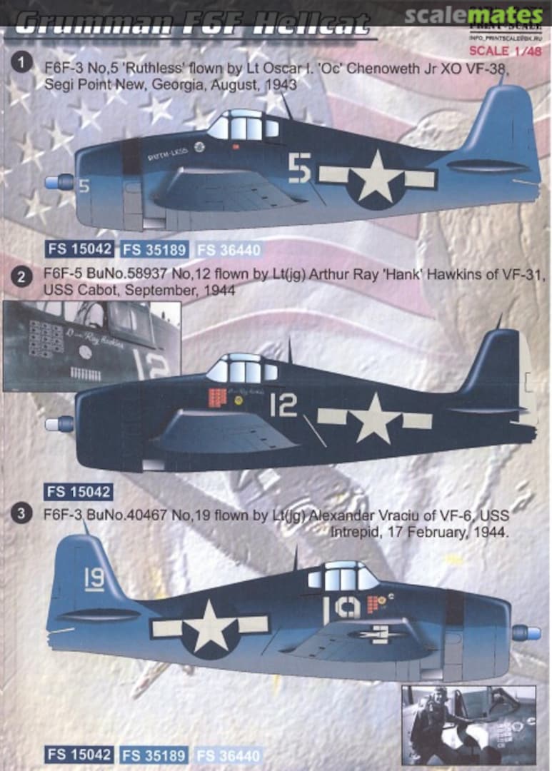 Boxart Grumman F6F Hellcat 48-071 Print Scale