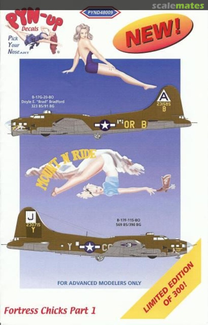 Boxart Fortress Chicks Part 1 PYN48009 Pyn-Up Decals