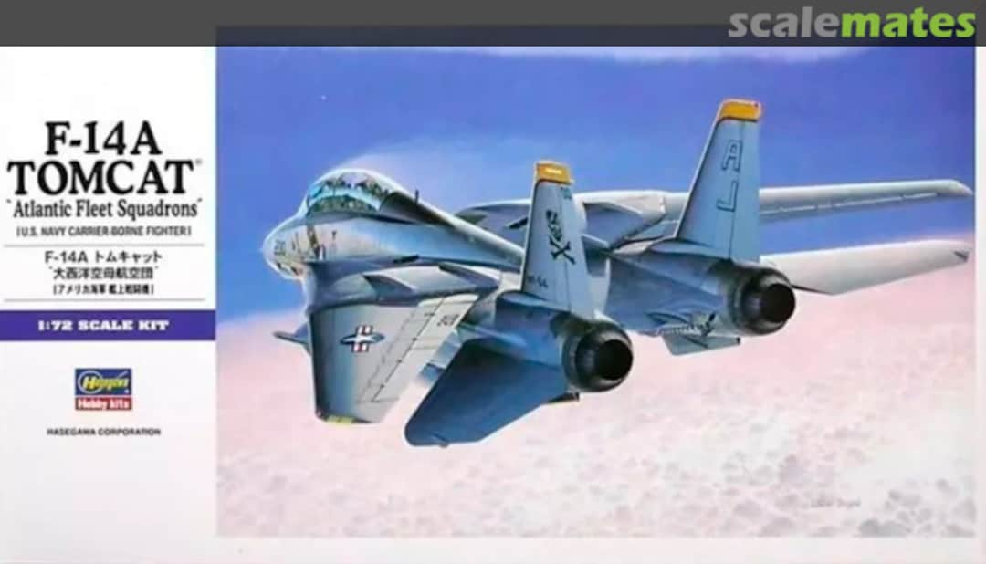 Boxart F-14A Tomcat `Atlantic Fleet Squadrons´ 00544 Hasegawa