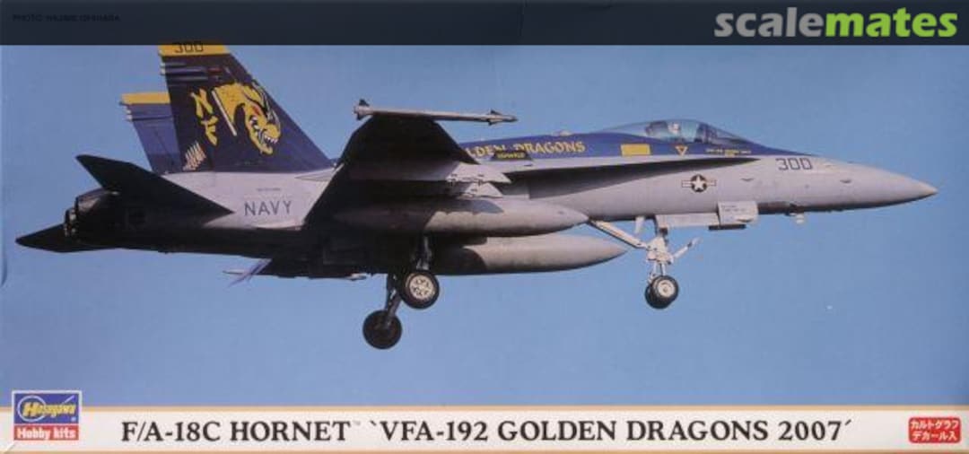 Boxart F/A-18C Hornet `VFA-192 Golden Dragons 2007´ 00869 Hasegawa