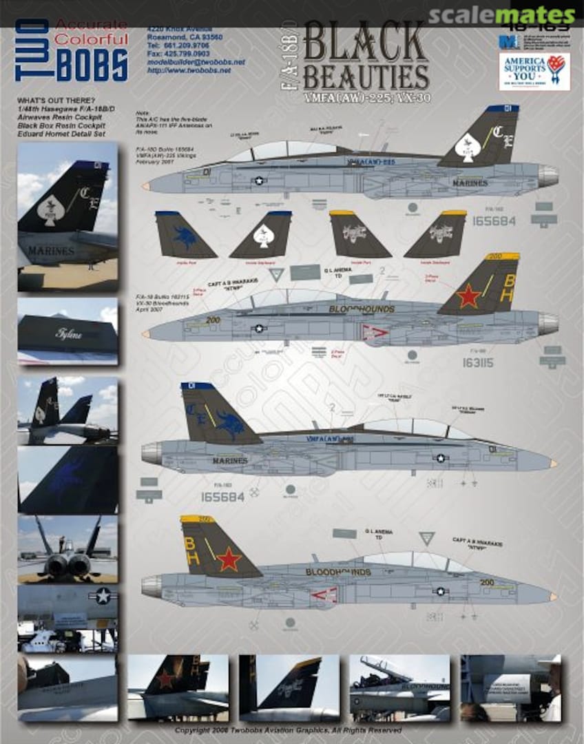 Boxart F/A-18B/D Black Beauties 48-163 TwoBobs Aviation Graphics