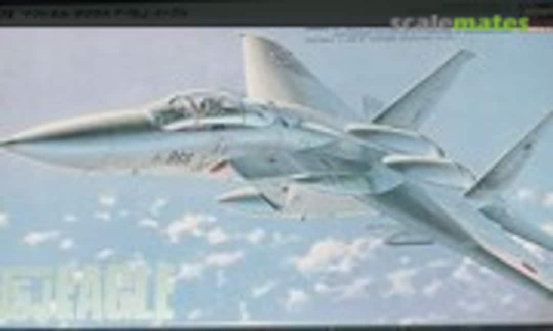 1:72 F-15J Eagle (Hasegawa 04024)