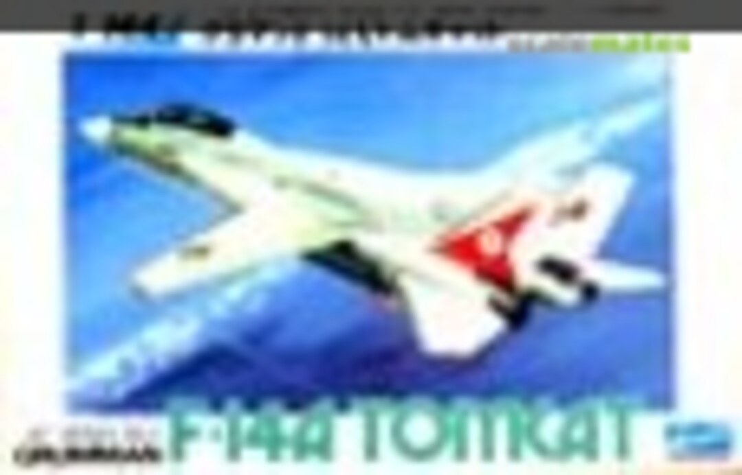 1:144 Grumman F-14A Tomcat (Crown P816)