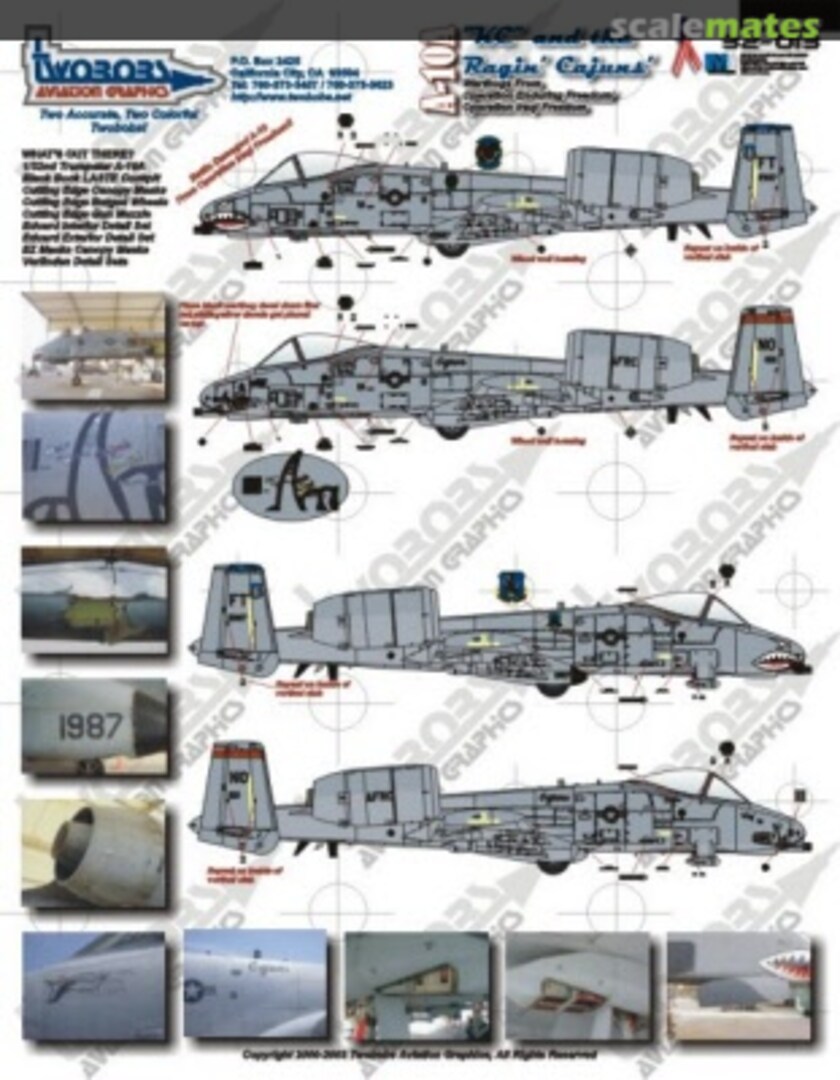 Boxart A-10A 32-013 TwoBobs Aviation Graphics