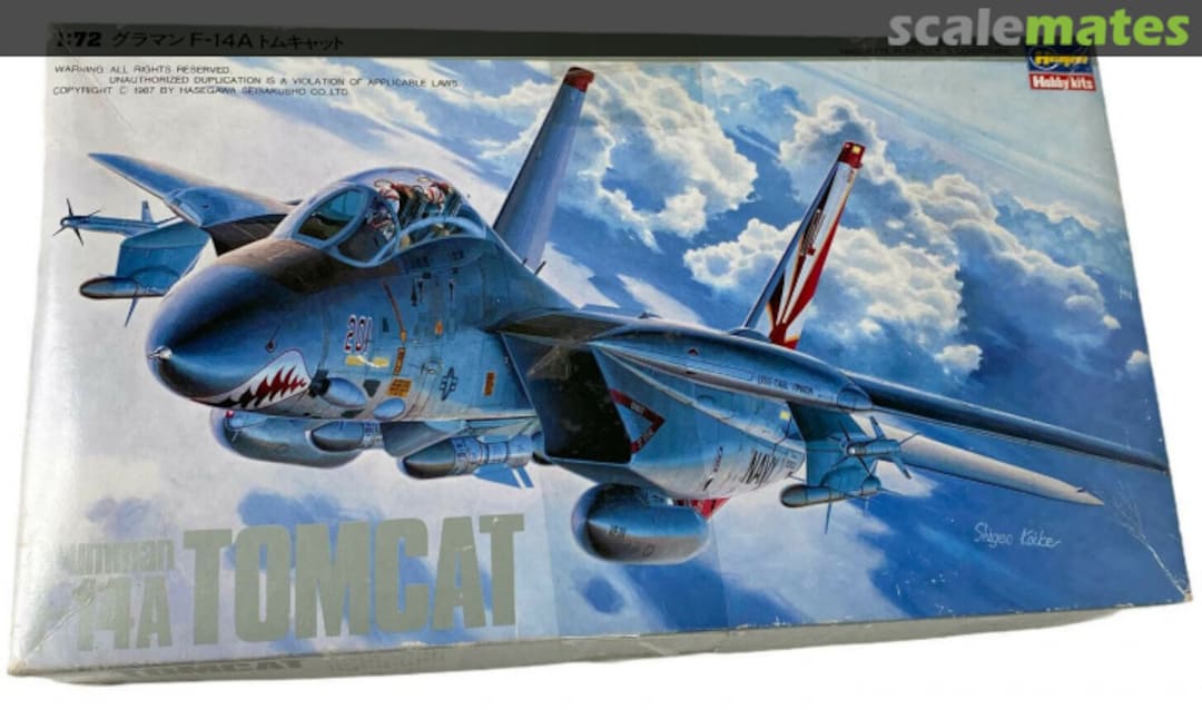 Boxart Grumman F-14A Tomcat K12X Hasegawa