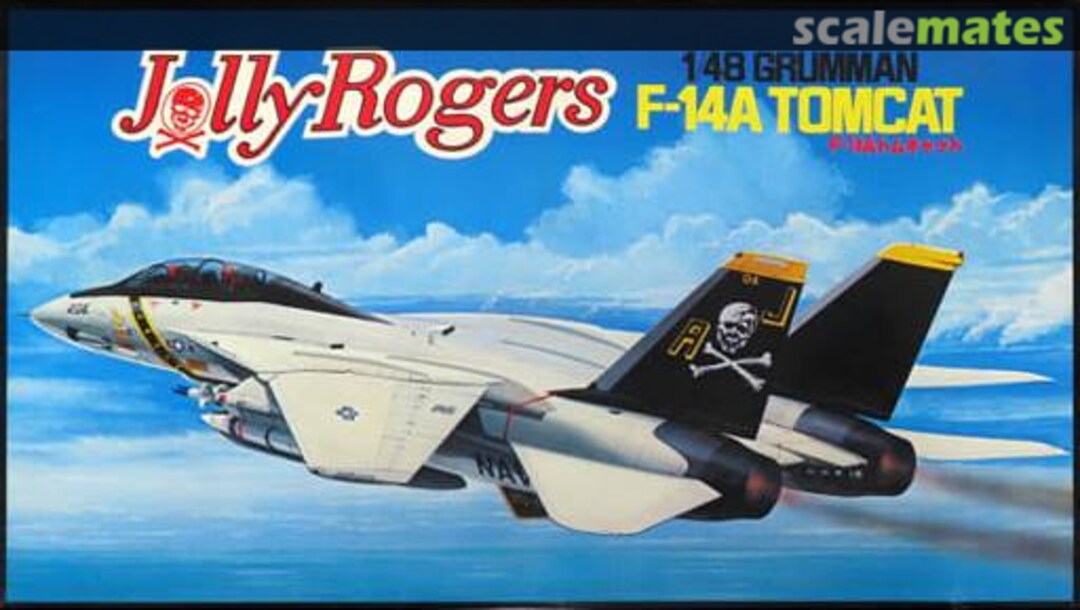 Boxart Grumman F-14A Tomcat "Jolly Rogers" 5A29 Fujimi