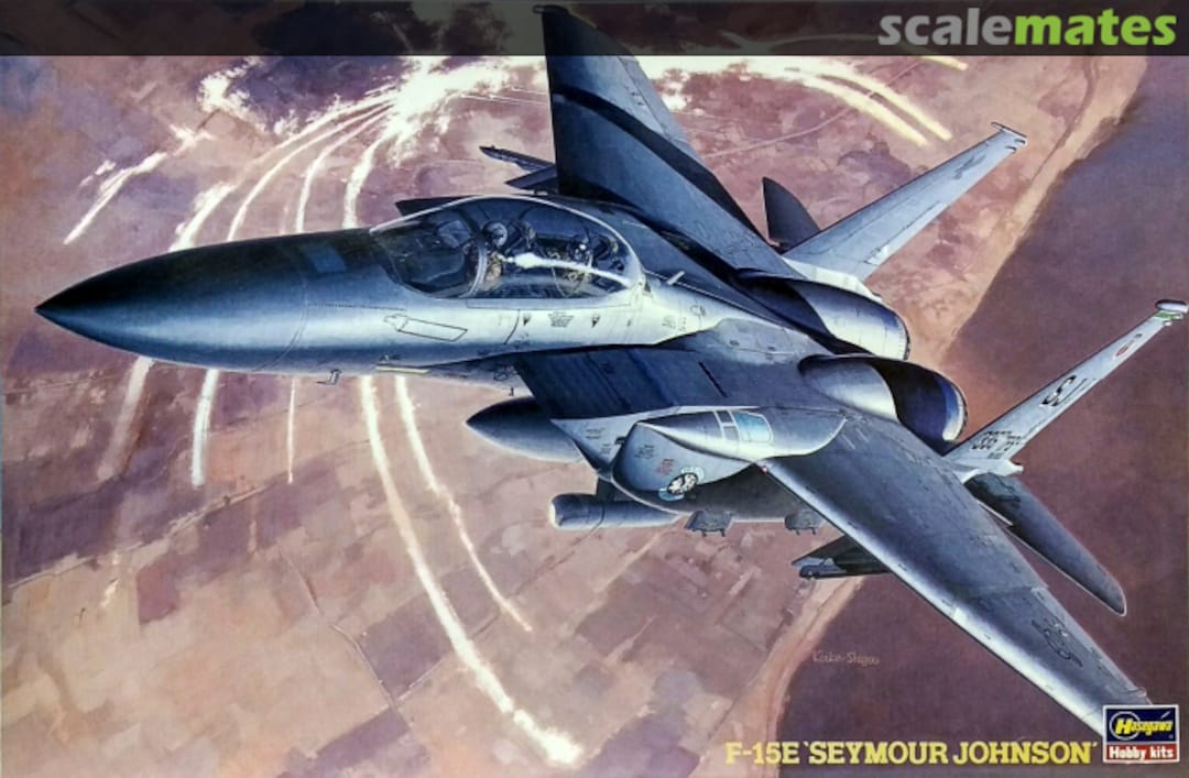 Boxart F-15E `Seymour Johnson´ 04201 Hasegawa