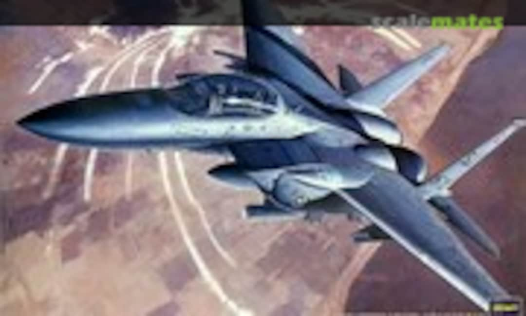 1:72 F-15E `Seymour Johnson´ (Hasegawa 04201)