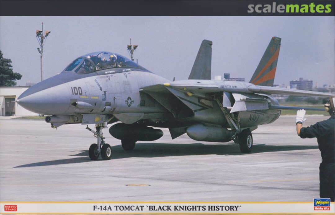 Boxart F-14A Tomcat `Black Knights History´ 09516 Hasegawa