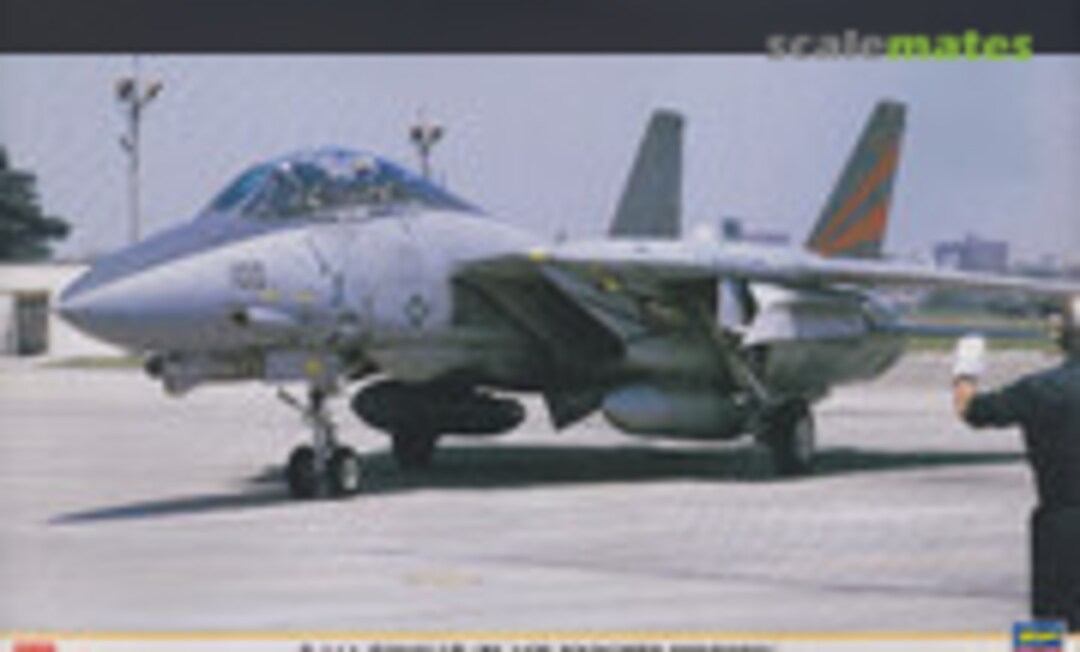 1:48 F-14A Tomcat `Black Knights History´ (Hasegawa 09516)