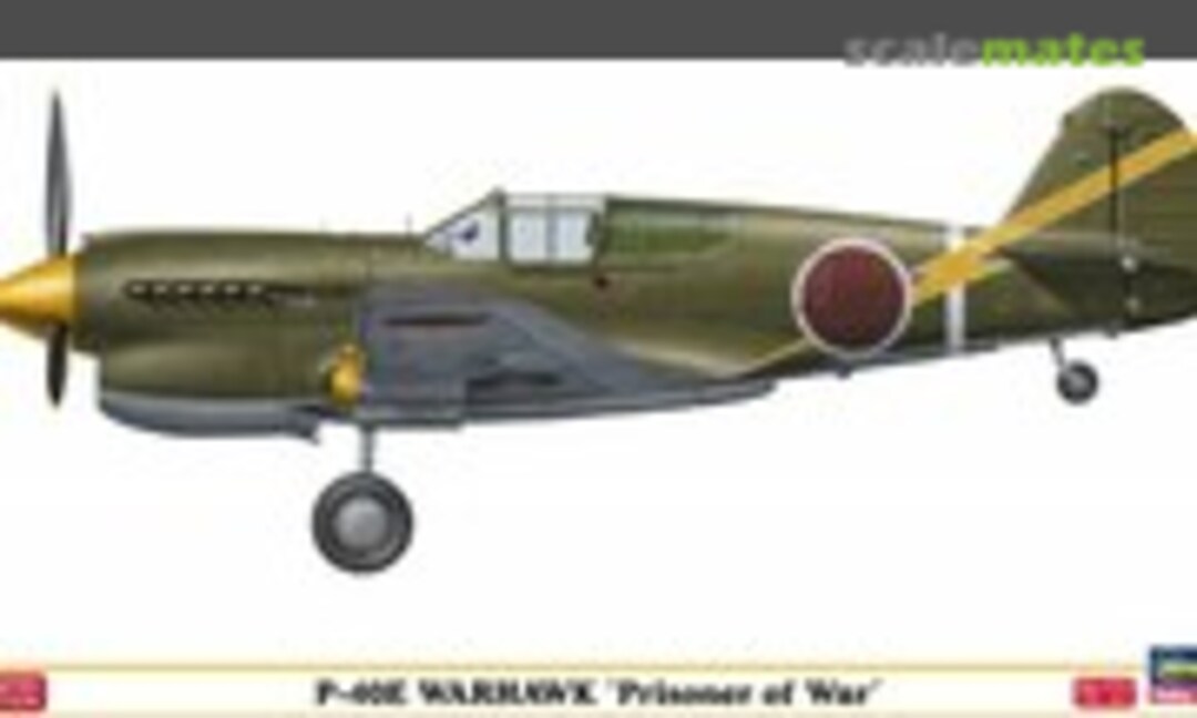 1:48 P-40E Warhawk 'Prisoner of War' (Hasegawa 52104)