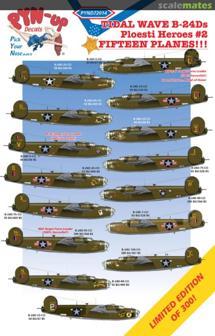 Boxart Tidal Wave B-24Ds PYND72014 Pyn-Up Decals