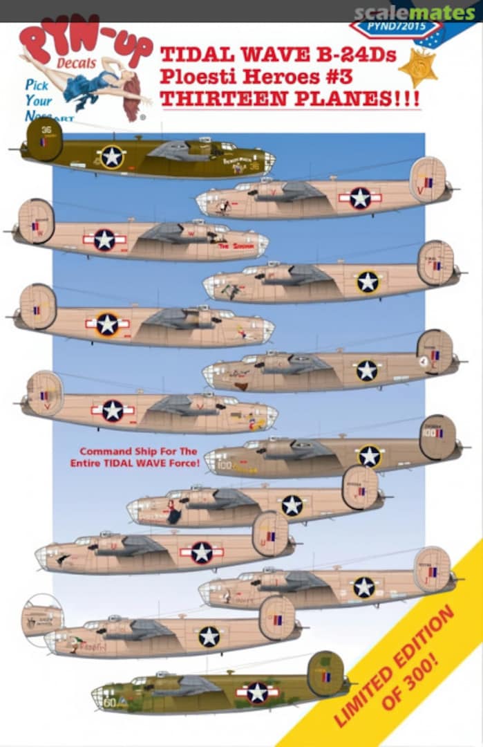 Boxart Tidal Wave B-24Ds PYND72015 Pyn-Up Decals