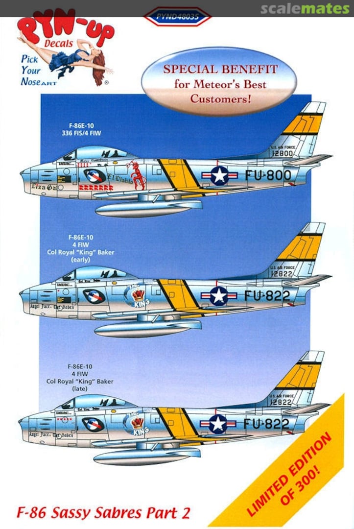 Boxart Sassy Sabres Part 2 PYND48035 Pyn-Up Decals