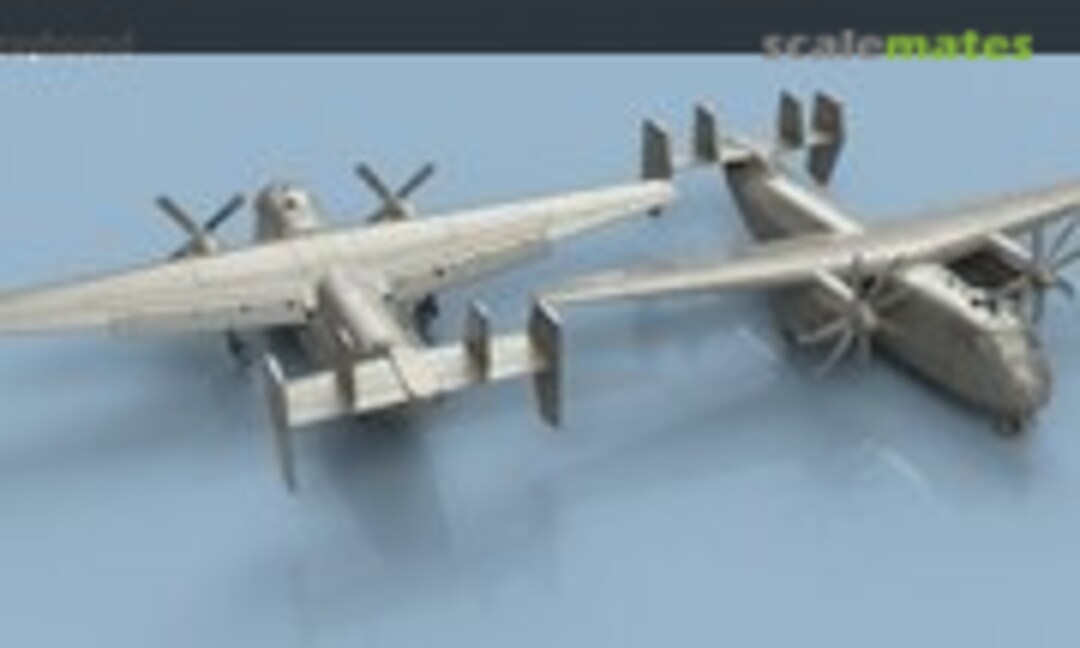 1:700 Grumman C-2 Greyhound unfolded wings (2 planes) (L'Arsenal 3D700118)