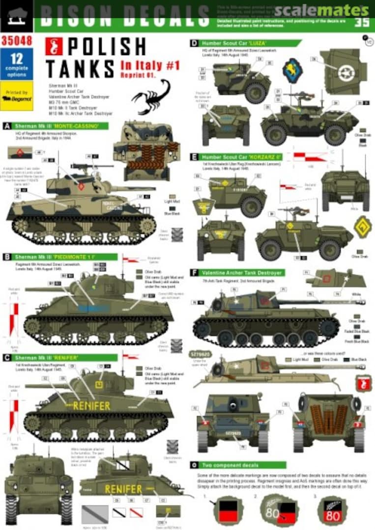 Boxart POLISH TANKS IN ITALY - part 1. 35048 Bison Decals