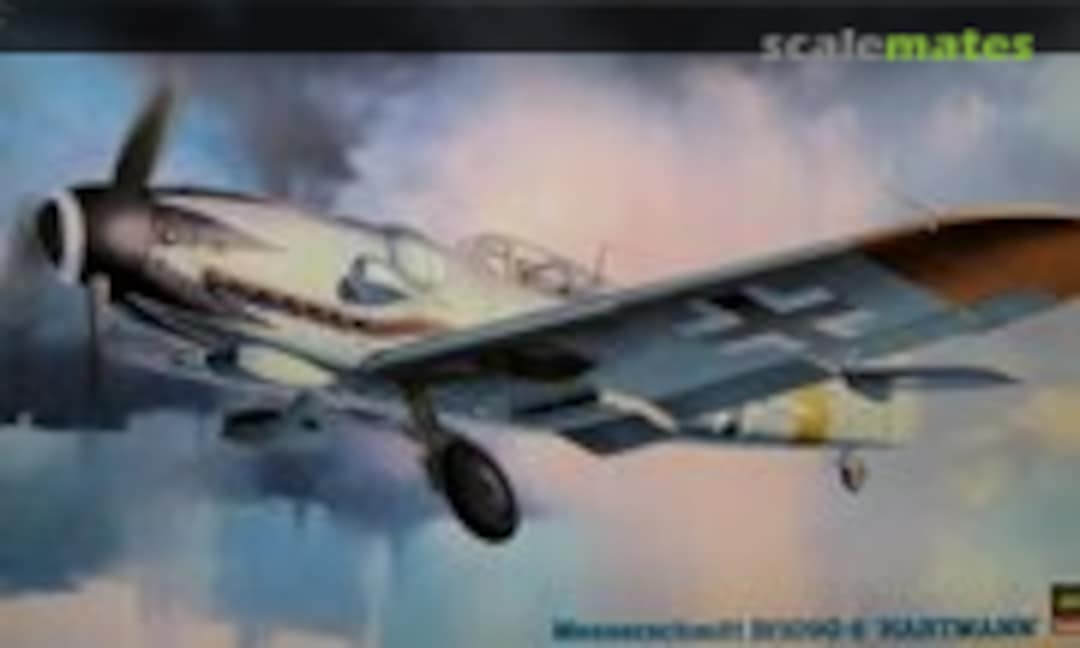 1:48 Messerschmitt Bf109G-6 'Hartmann' (Hasegawa 09245)