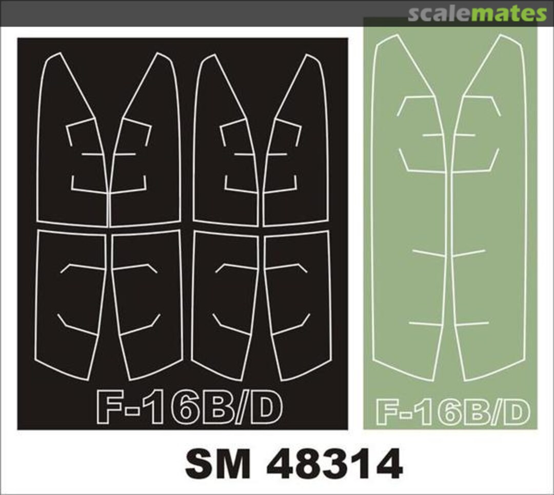 Boxart F-16B/D SM48314 Montex