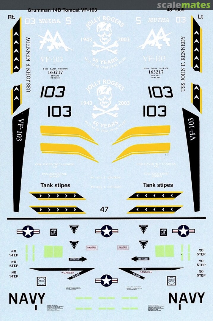 Boxart Grumman F-14B Tomcat 48-1009 Microscale