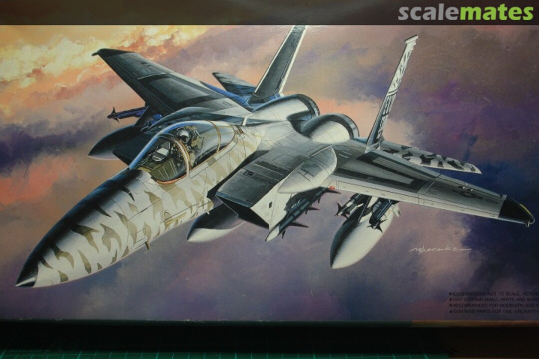 Boxart F-15C Eagle "Tiger Meet '91" 35119 Fujimi