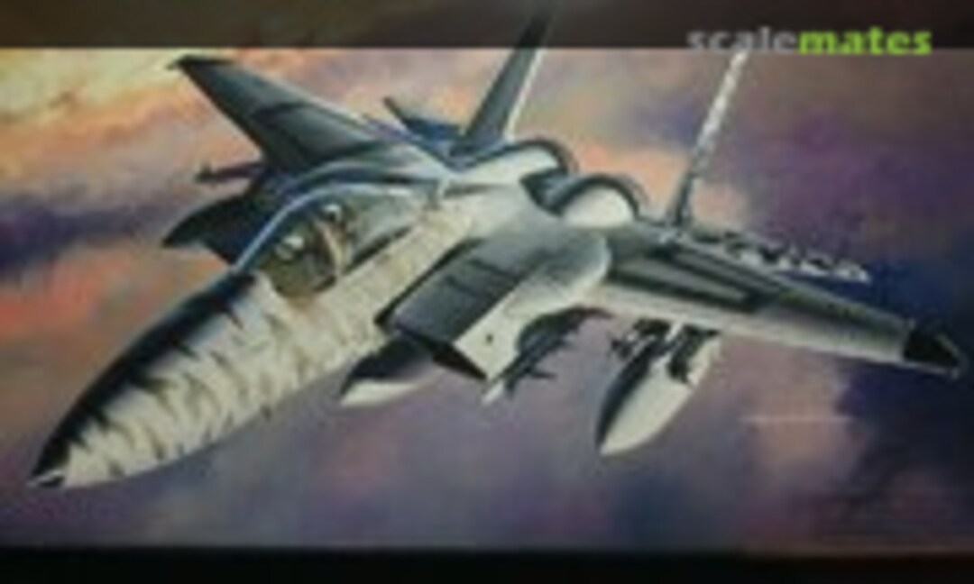 1:48 F-15C Eagle &quot;Tiger Meet '91&quot; (Fujimi 35119)