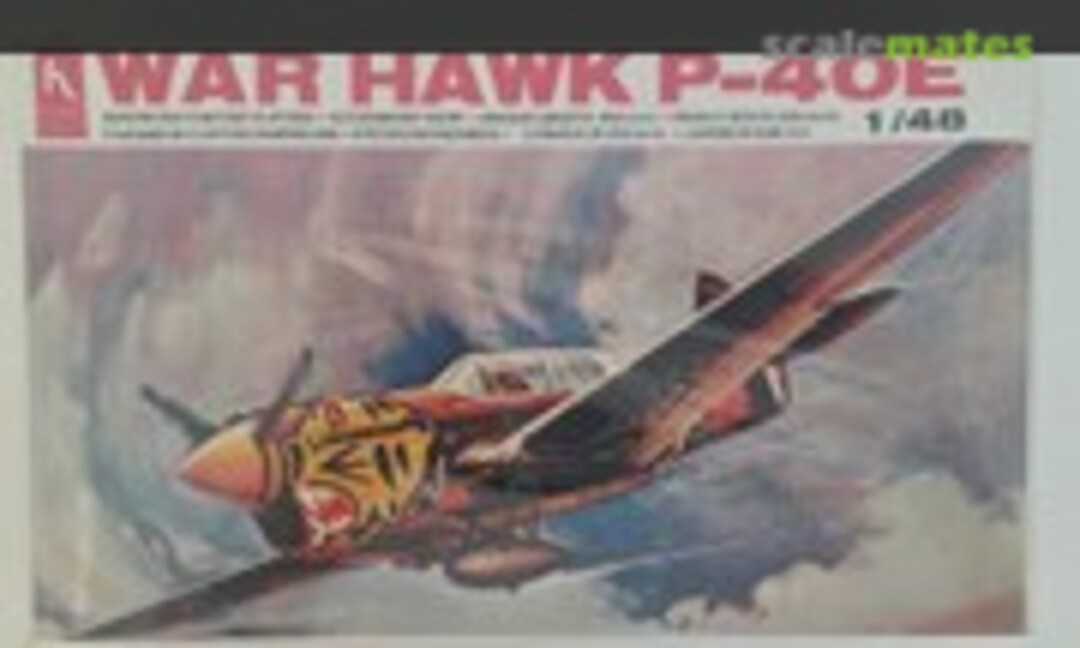 1:48 War Hawk P-40E (Hobbycraft HC1402)