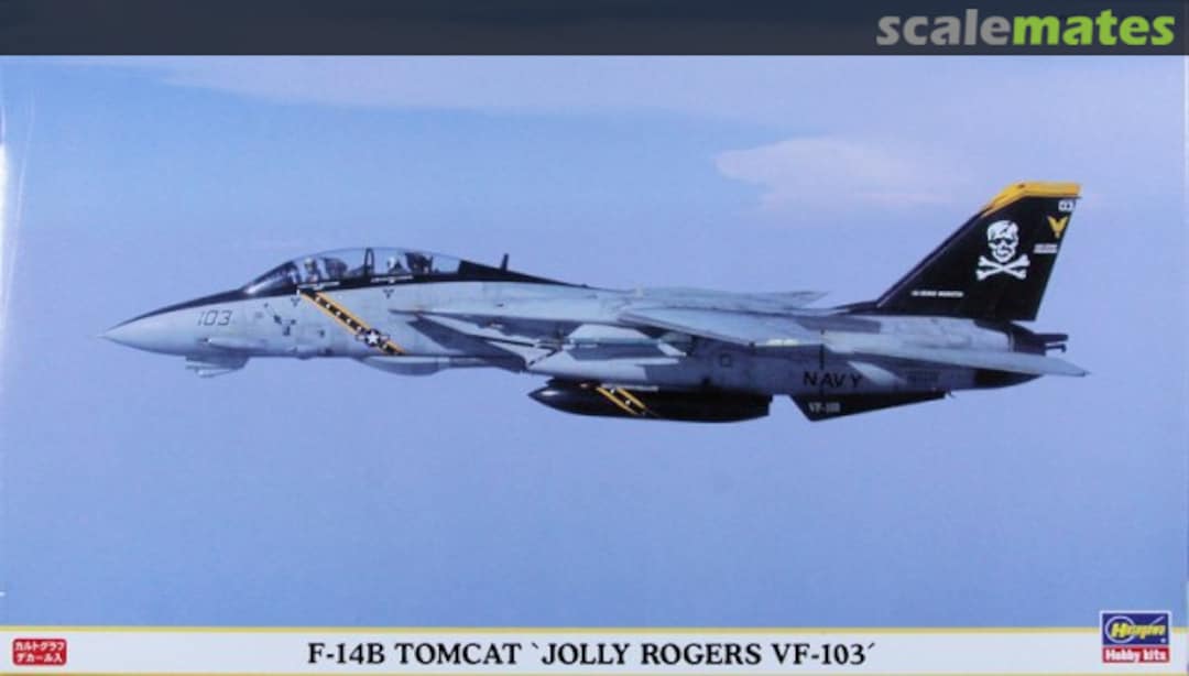 Boxart F-14B Tomcat `Jolly Rogers VF-103´ 00613 Hasegawa