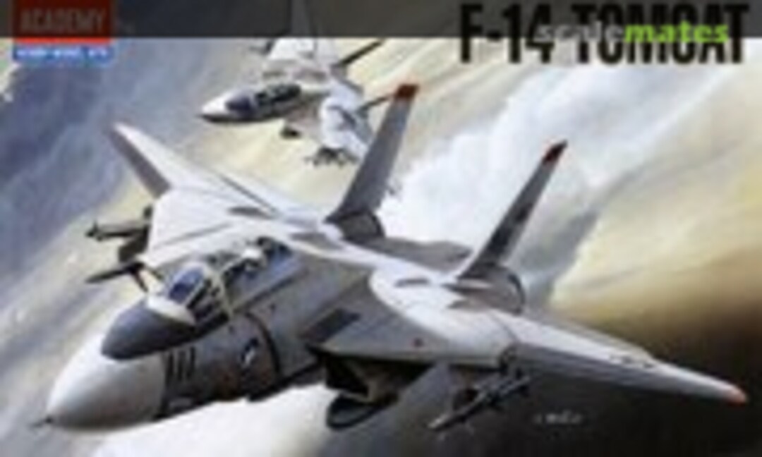 1:144 F-14 Tomcat (Academy 4434)