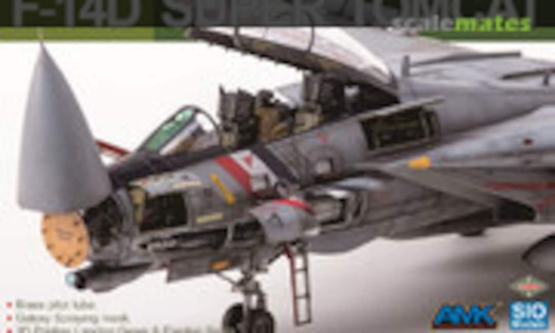 1:48 F-14D Super Tomcat (SIO Models K48003)