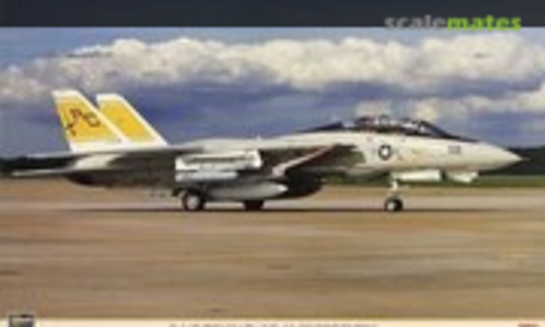 1:48 F-14B Tomcat `VF-32 Swordsmen´ (Hasegawa 09691)